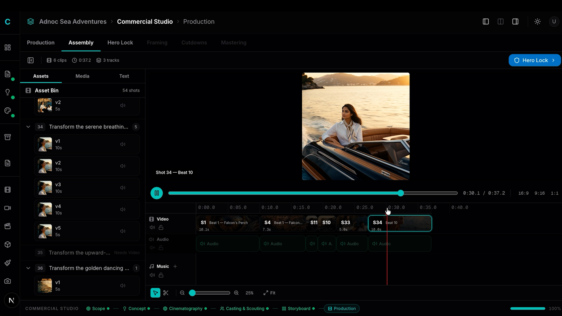 Assembly view — multi-track timeline with asset bin and preview